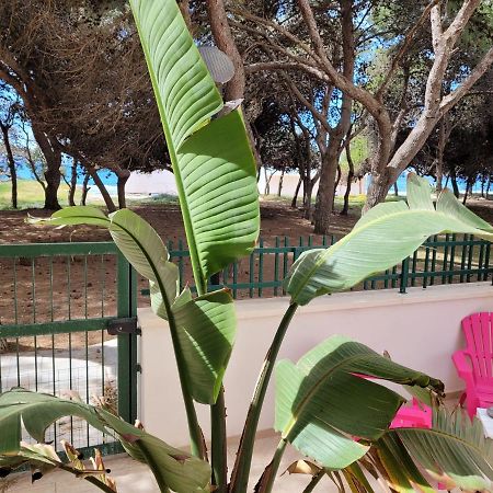 Apartament Fronte Pineta Mare Rivabella Zewnętrze zdjęcie
