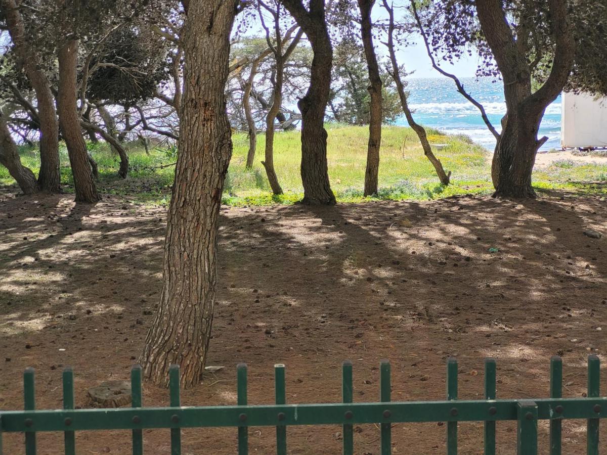 Apartament Fronte Pineta Mare Rivabella Zewnętrze zdjęcie