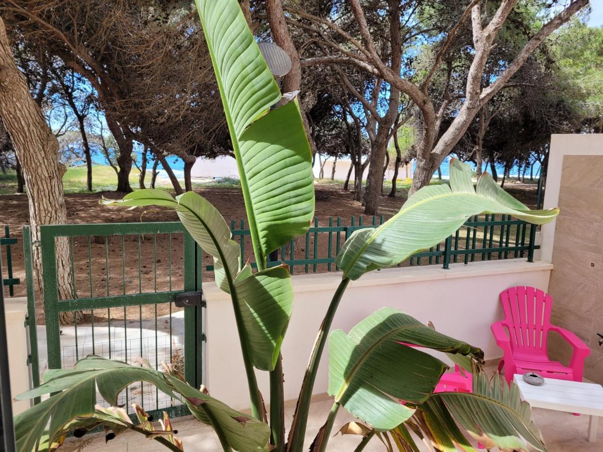 Apartament Fronte Pineta Mare Rivabella Zewnętrze zdjęcie