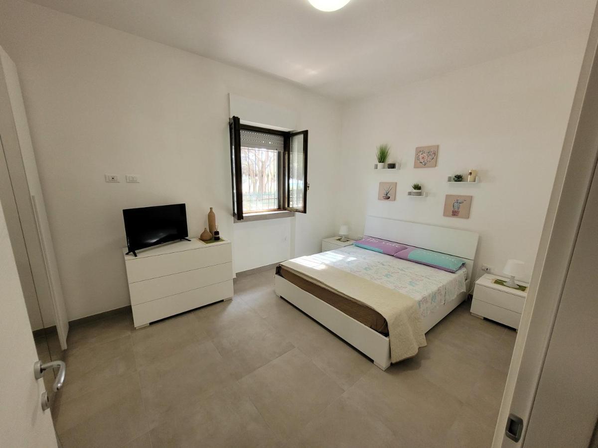 Apartament Fronte Pineta Mare Rivabella Zewnętrze zdjęcie