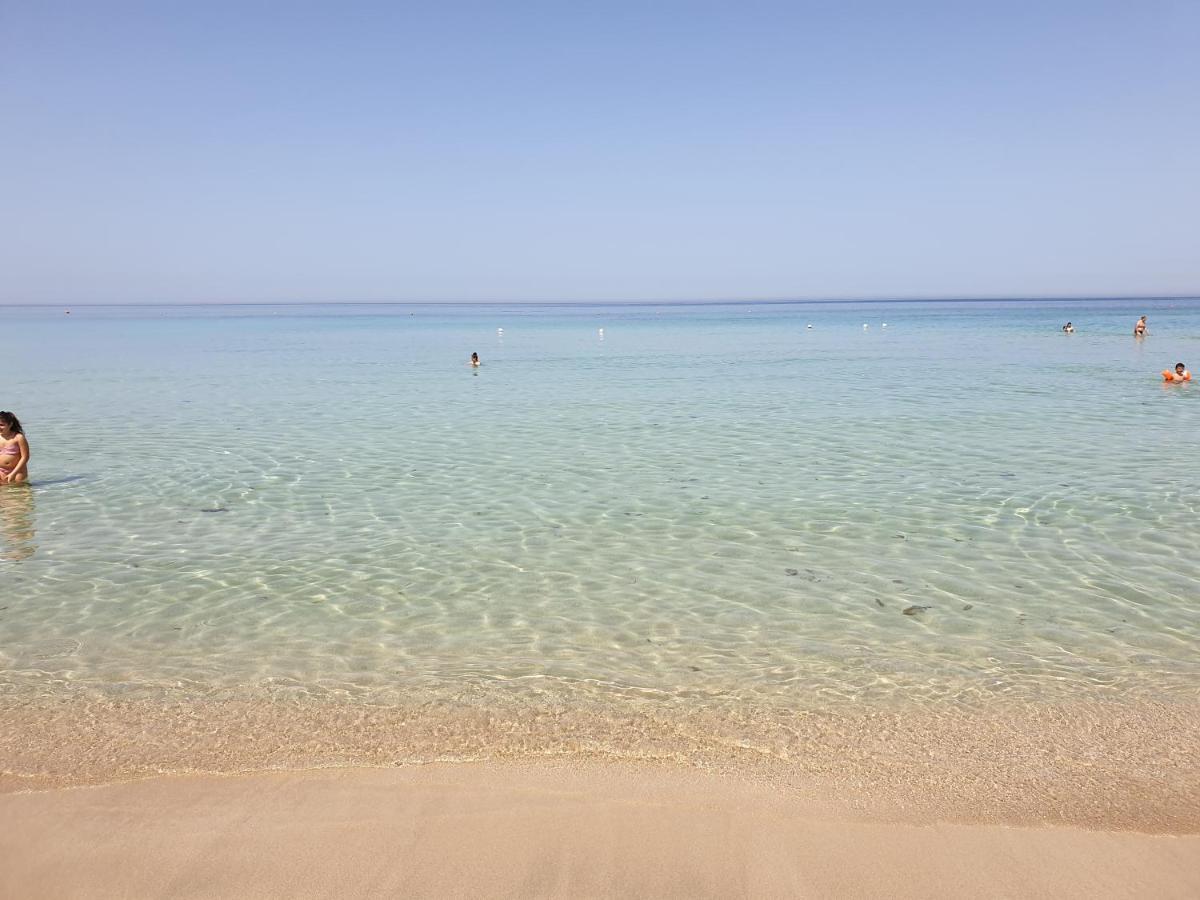 Apartament Fronte Pineta Mare Rivabella Zewnętrze zdjęcie