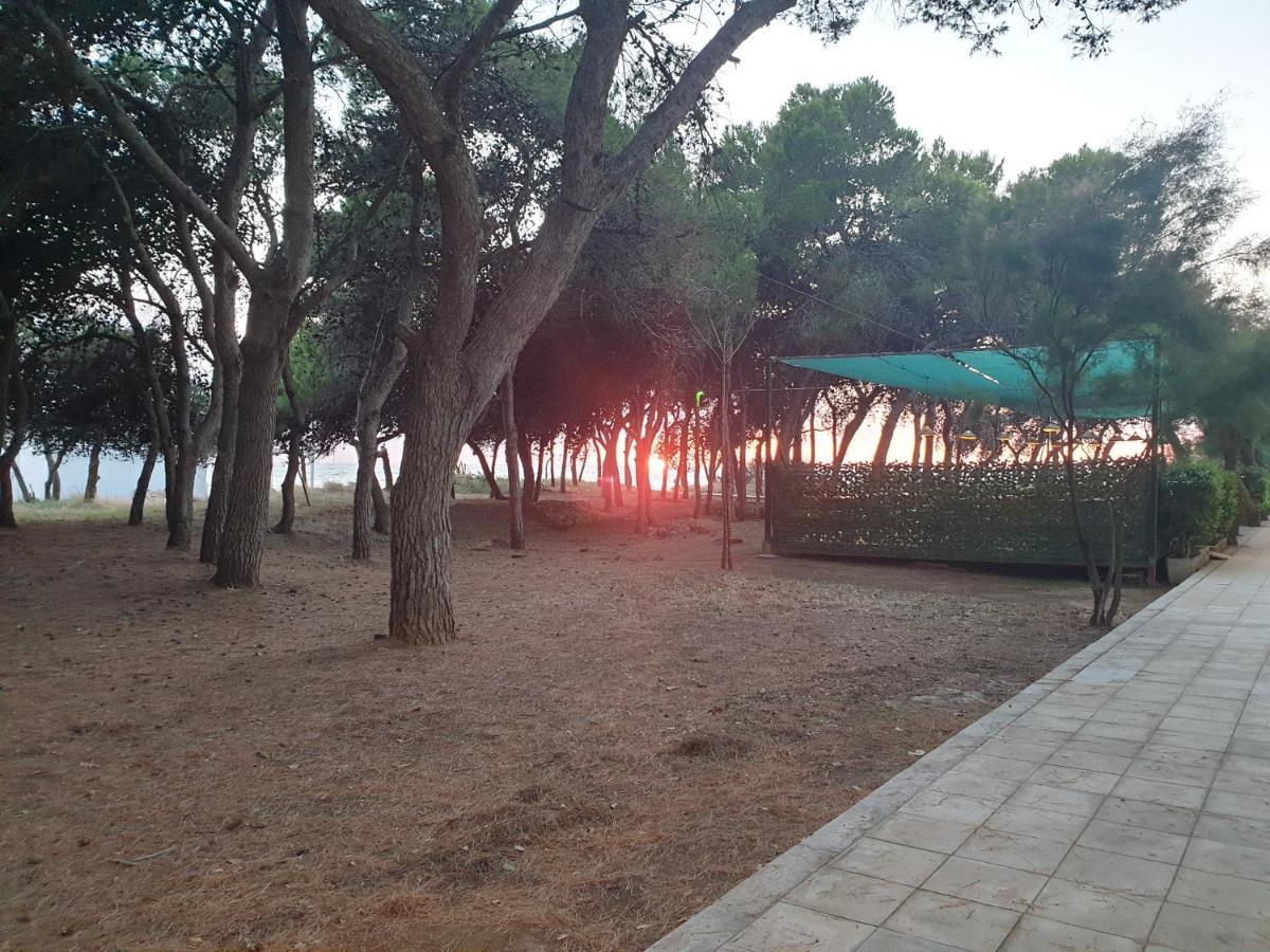 Apartament Fronte Pineta Mare Rivabella Zewnętrze zdjęcie